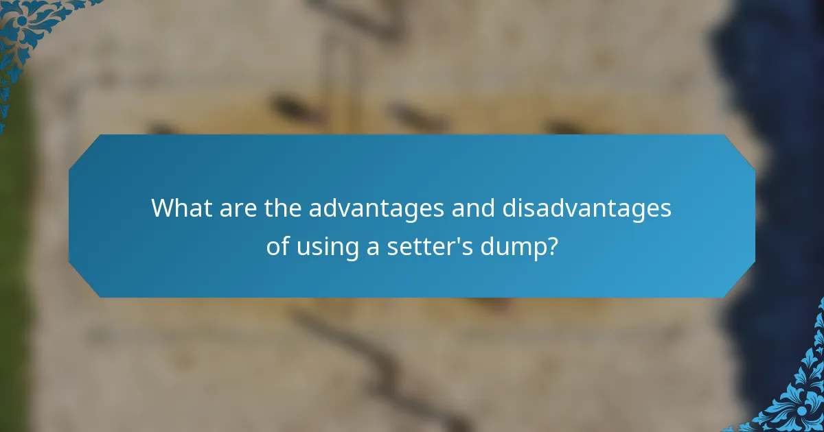 What are the advantages and disadvantages of using a setter's dump?
